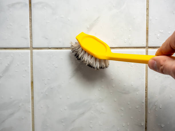 Best Commercial Mold Removal  in Newk, AR
