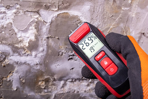 Best Mold Removal and Inspection  in Newk, AR