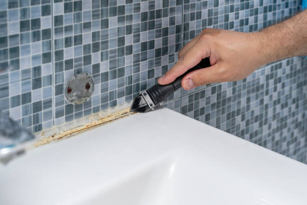 Best Professional Mold Removal  in Newk, AR