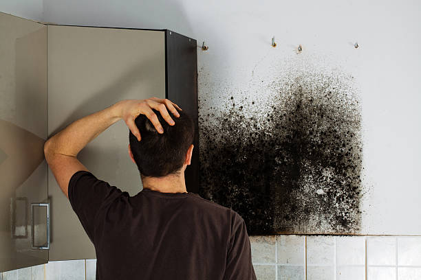 Best Residential Mold Removal  in Newk, AR